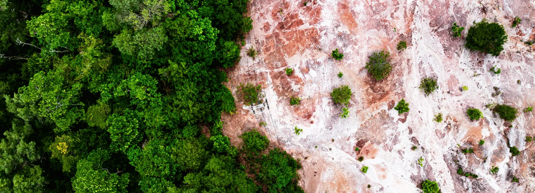 Example of deforestation