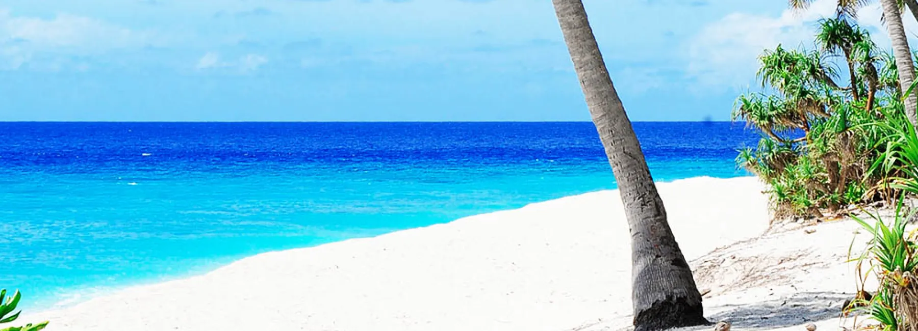 Tropical beach
