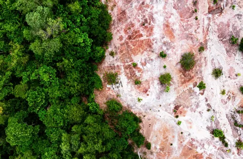 Aerial view of deforestation