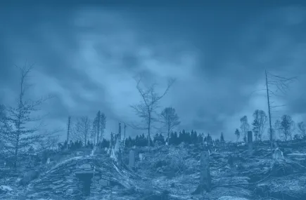 Copy of Human cost and consequences
