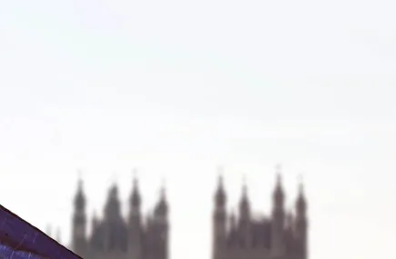 MP-ban-consultant