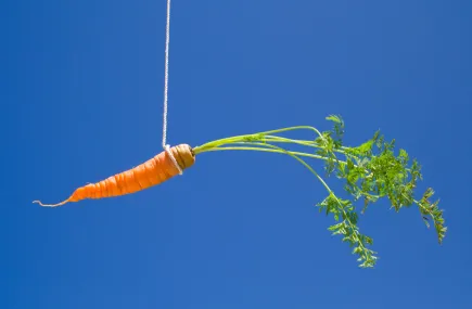 A carrot hanging on a piece of string