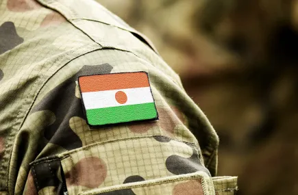 Nigerien flag