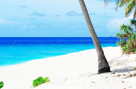 Tropical beach
