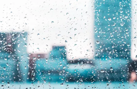 Rain on a window