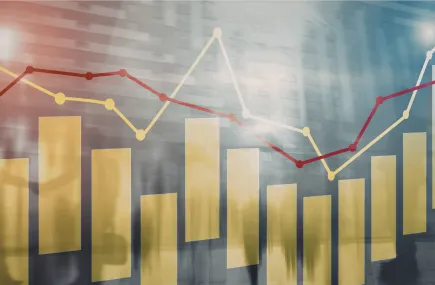 Data graph